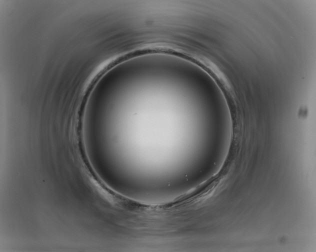 X0000094430799200711081224