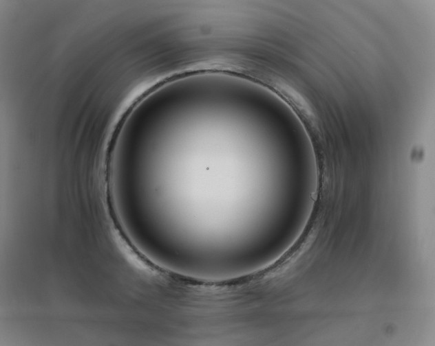 X0000094430800200711081224
