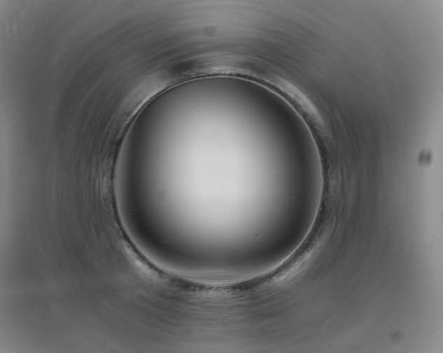 X0000094430801200711081224