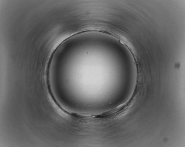 X0000094430803200711081224