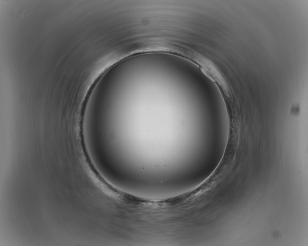 X0000094430805200711081224