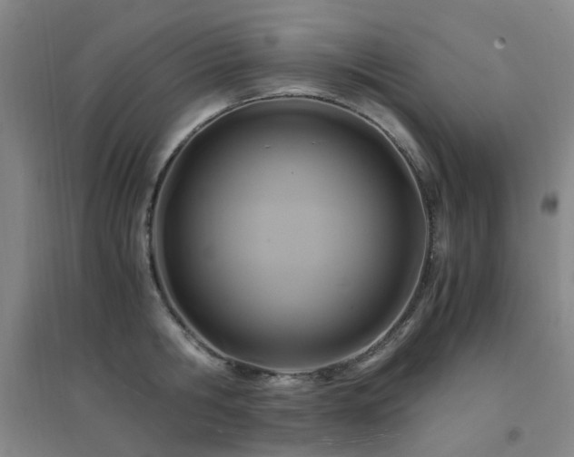 X0000094430806200711081224