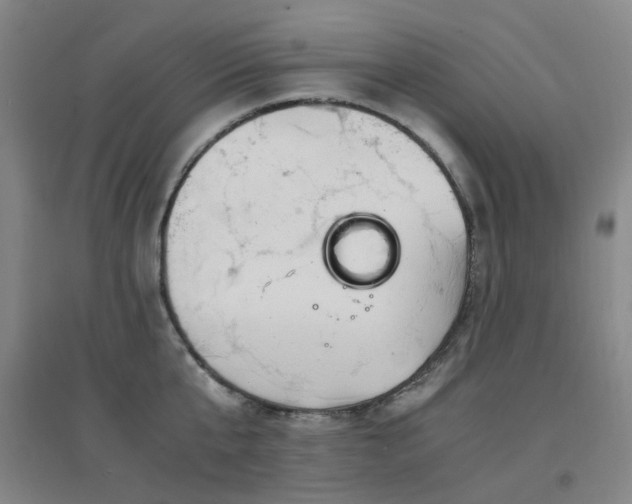 X0000094430807200711081224