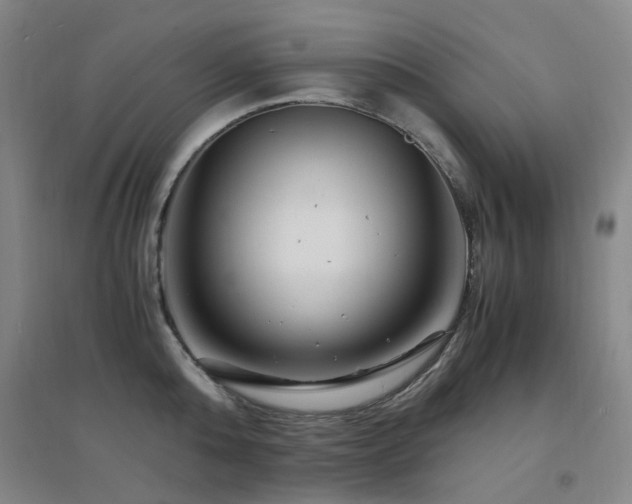 X0000094430808200711081224