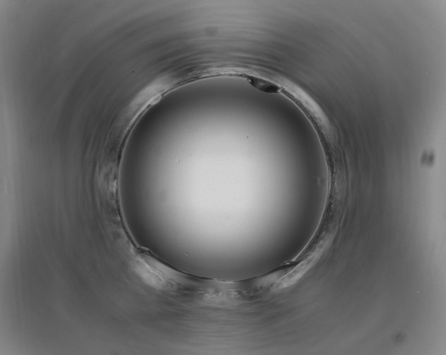 X0000094430809200711081224