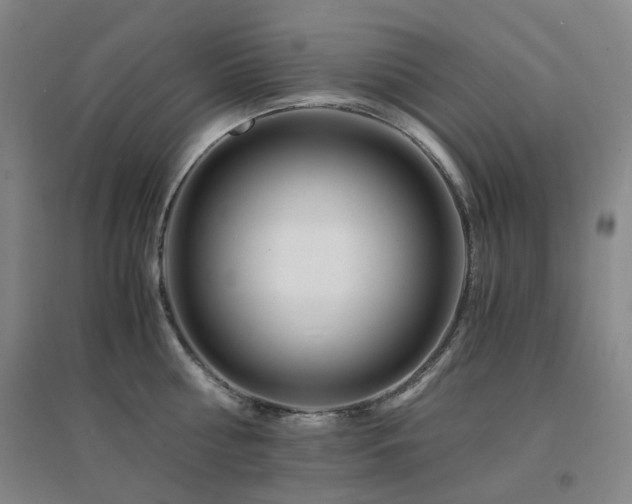X0000094430810200711081224