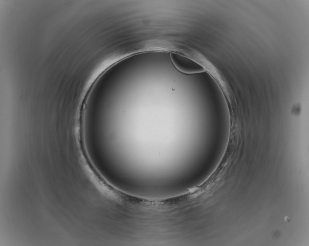 X0000094430811200711081224