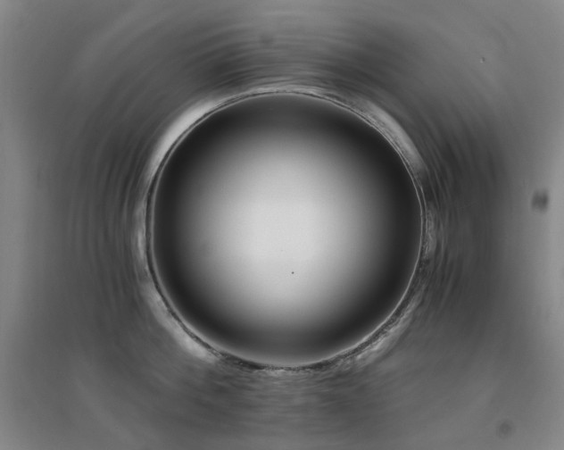X0000094430812200711081224