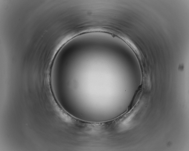 X0000094430813200711081224