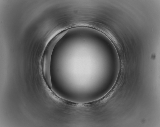 X0000094430814200711081224