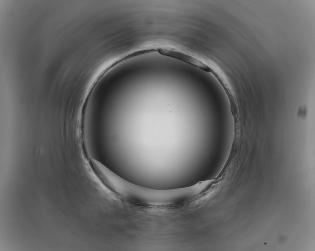 X0000094430815200711081224