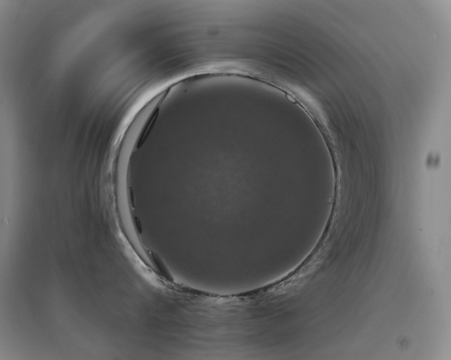 X0000094430816200711081224