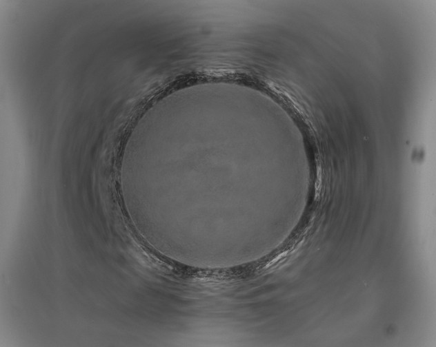 X0000094430817200711081223