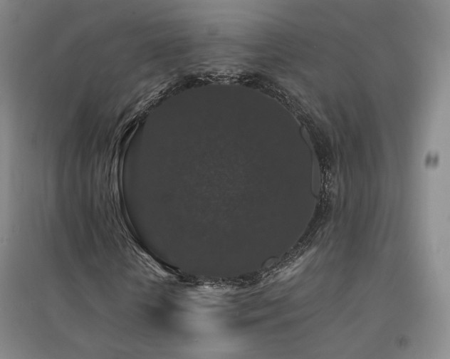 X0000094430818200711081223