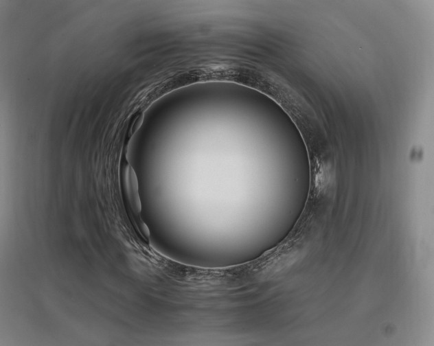 X0000094430819200711081223
