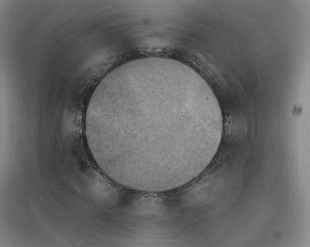 X0000094430820200711081223
