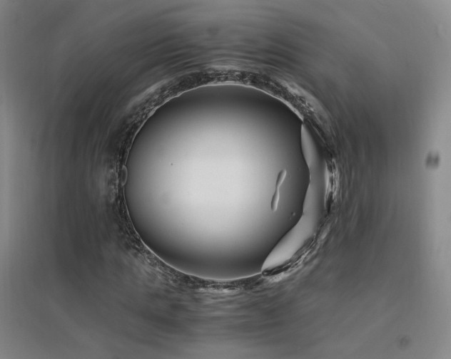 X0000094430821200711081223