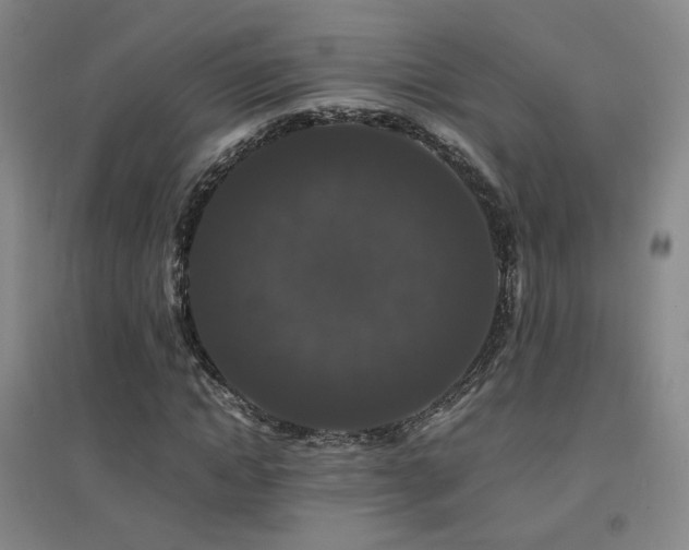 X0000094430822200711081223
