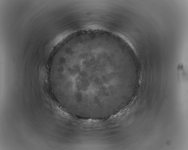 X0000094430823200711081223