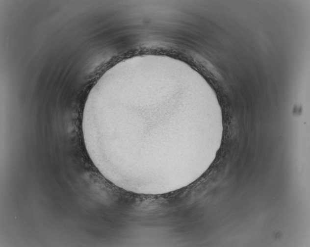 X0000094430824200711081223