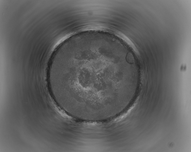 X0000094430826200711081224