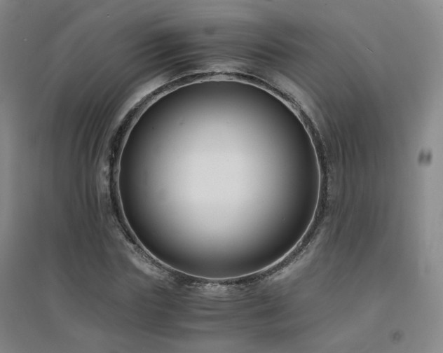 X0000094430827200711081224