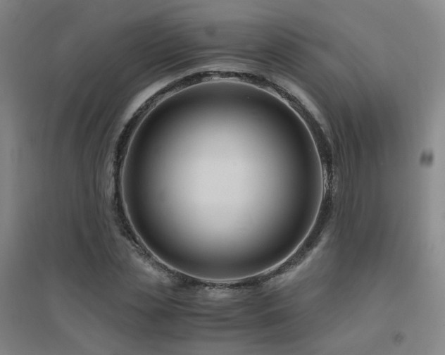 X0000094430829200711081224