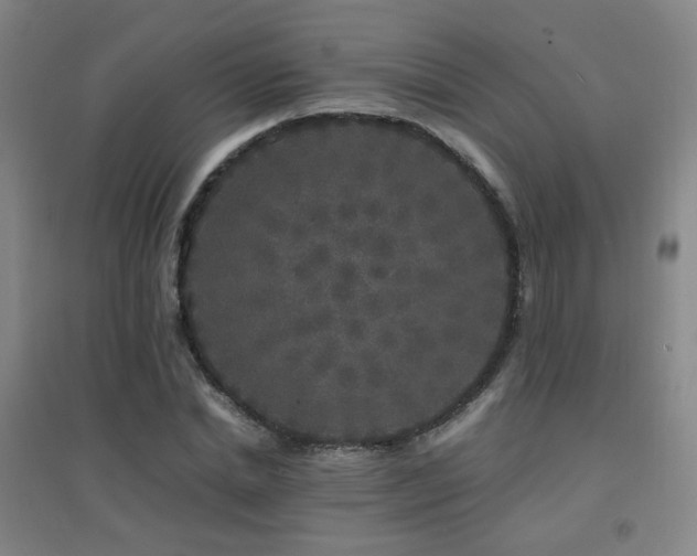 X0000094430830200711081224