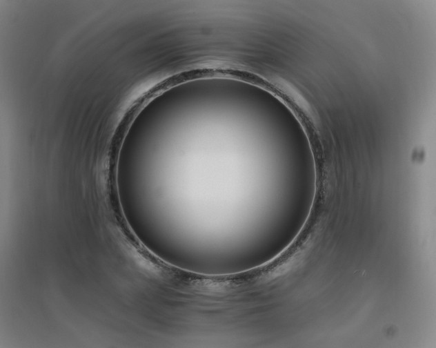 X0000094430831200711081224