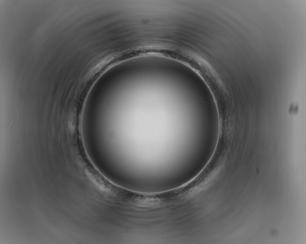 X0000094430833200711081224