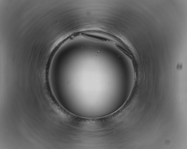 X0000094430834200711081224