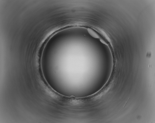 X0000094430835200711081224