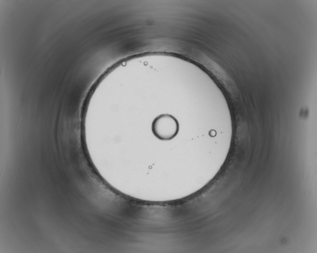 X0000094430836200711081224