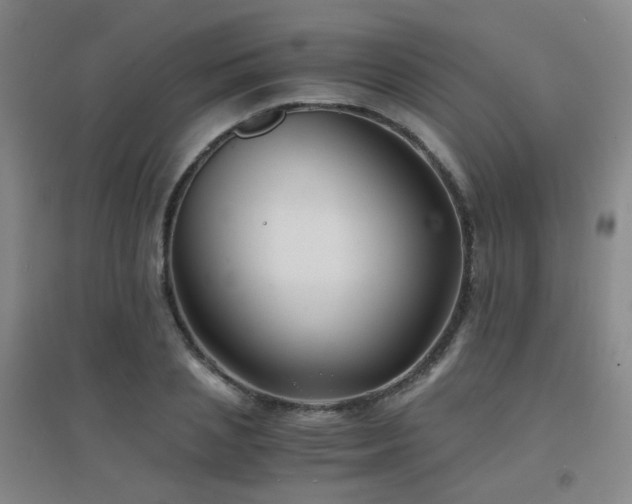 X0000094430837200711081224