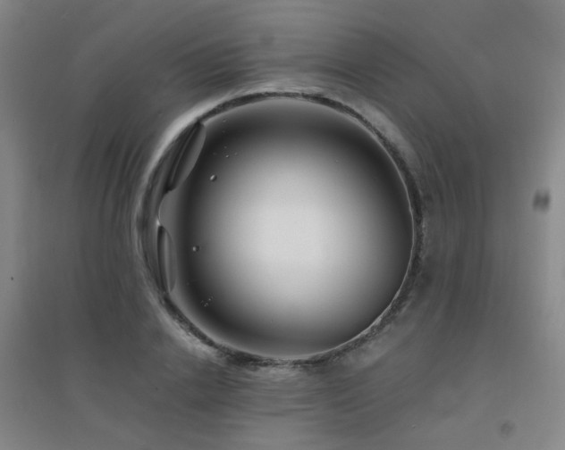 X0000094430838200711081224