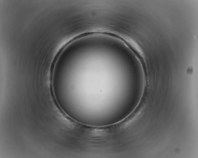 X0000094430839200711081224