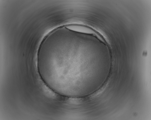 X0000094430840200711081224