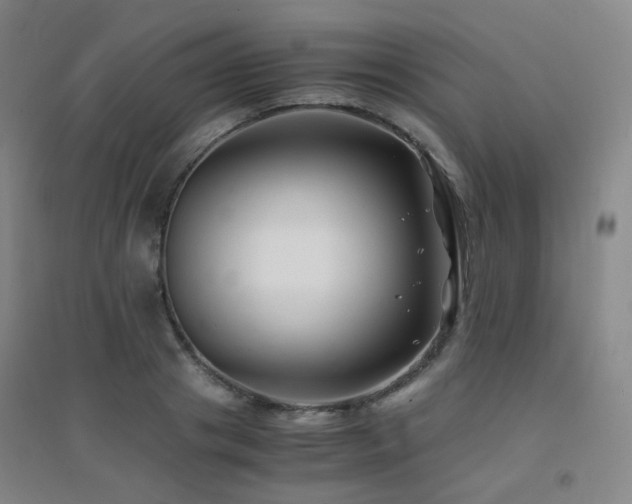 X0000094430841200711081224