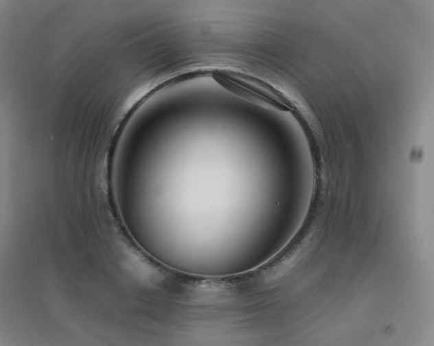 X0000094430842200711081224