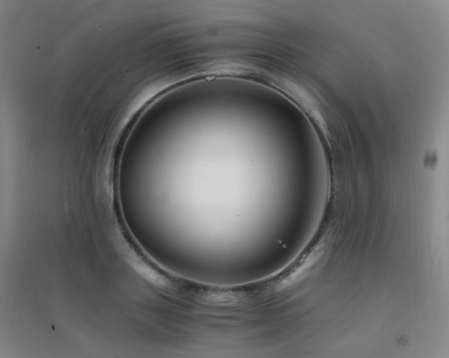 X0000094430843200711081224