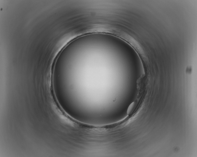 X0000094430844200711081224