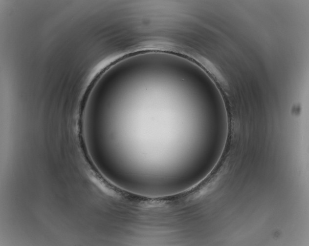 X0000094430846200711081224