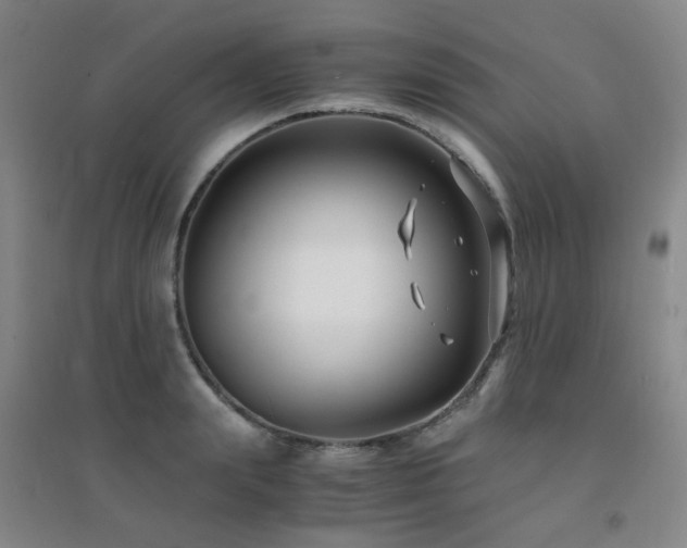X0000094430847200711081224