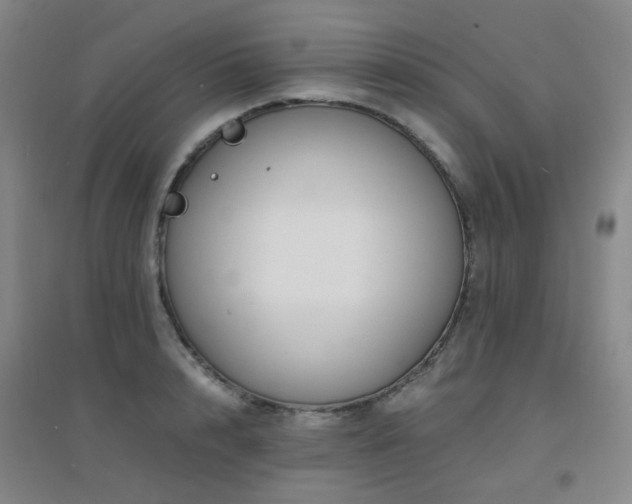 X0000094430848200711081224