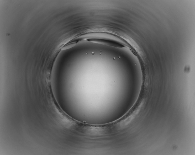 X0000094430849200711081224