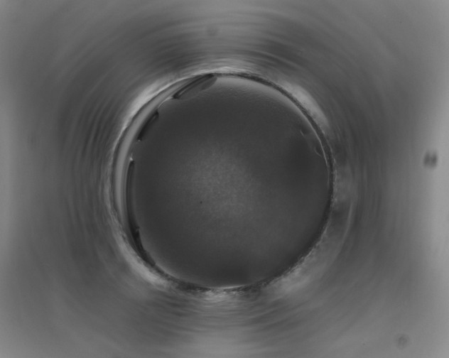 X0000094430850200711081224