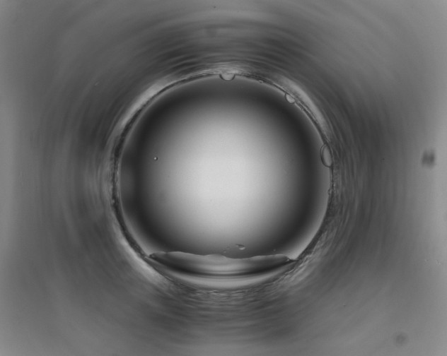 X0000094430851200711081224