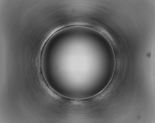 X0000094430852200711081224