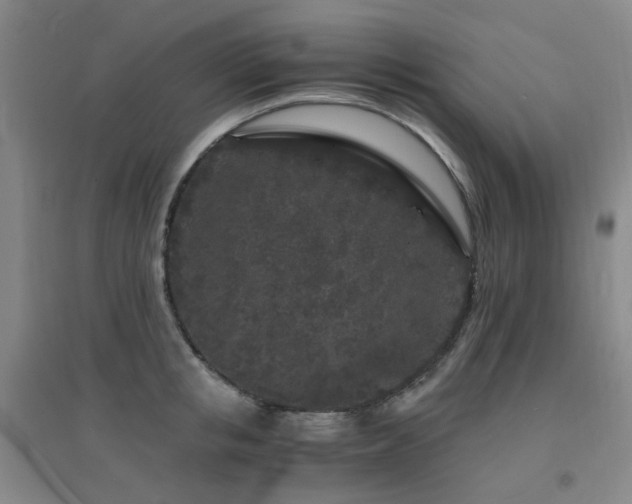 X0000094430853200711081224