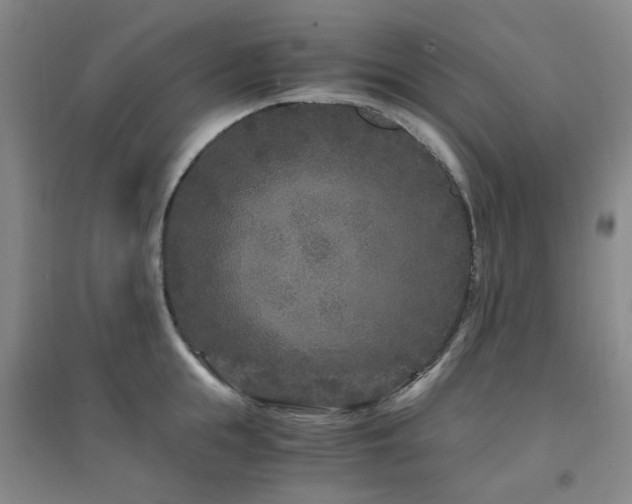 X0000094430855200711081224